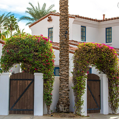 Property  management services